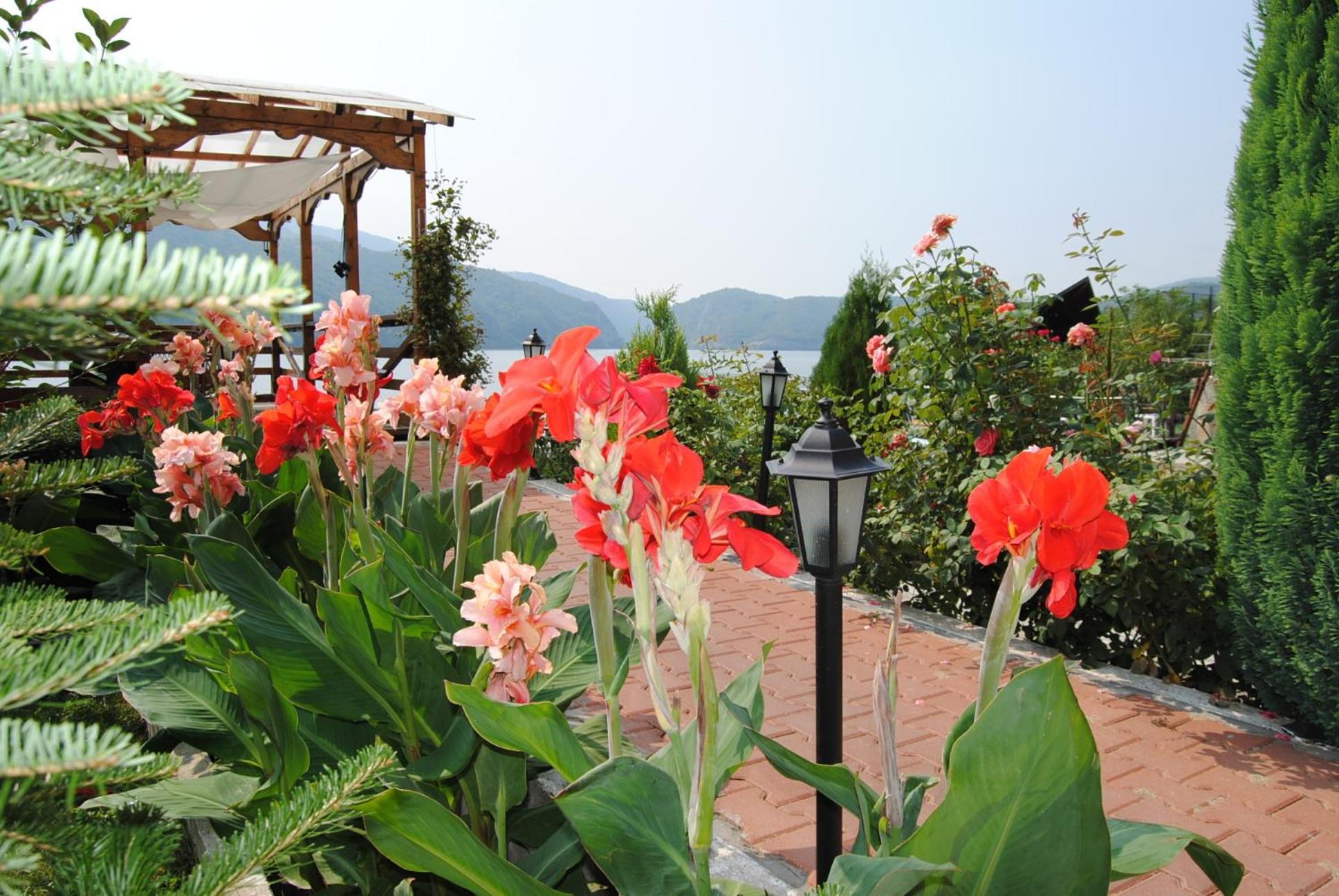 Pension La Ponton เอเชลนิทซา ภายนอก รูปภาพ